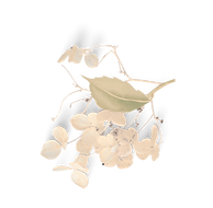 Untitled design (6)_edited_edited_edited