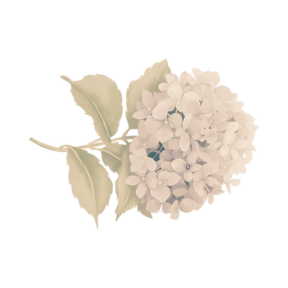 Untitled design (1)_edited_edited_edited