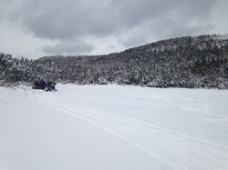 Gorgeous Winter Day at the Park