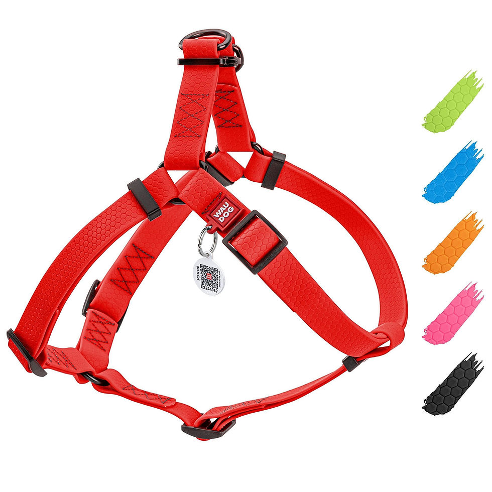 Miniatura: Red Waterproof Dog Harness Adjustable for Small Dogs S Size 1622 inch