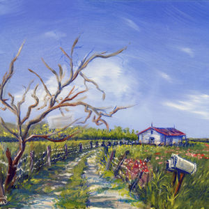 Coastal Art and Nature