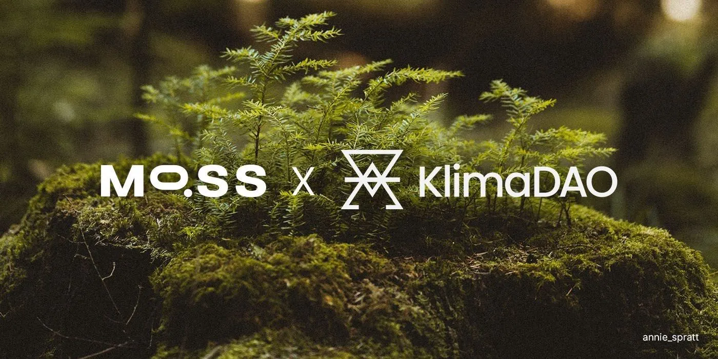 Lead image showing the Moss and KlimaDAO logos