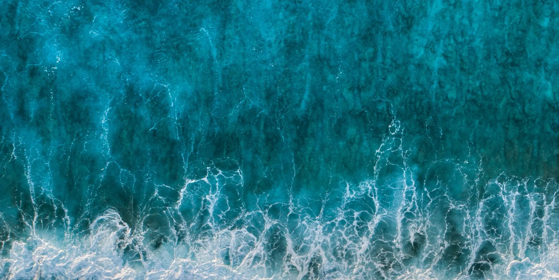 A blue ocean brushing against the shore line.