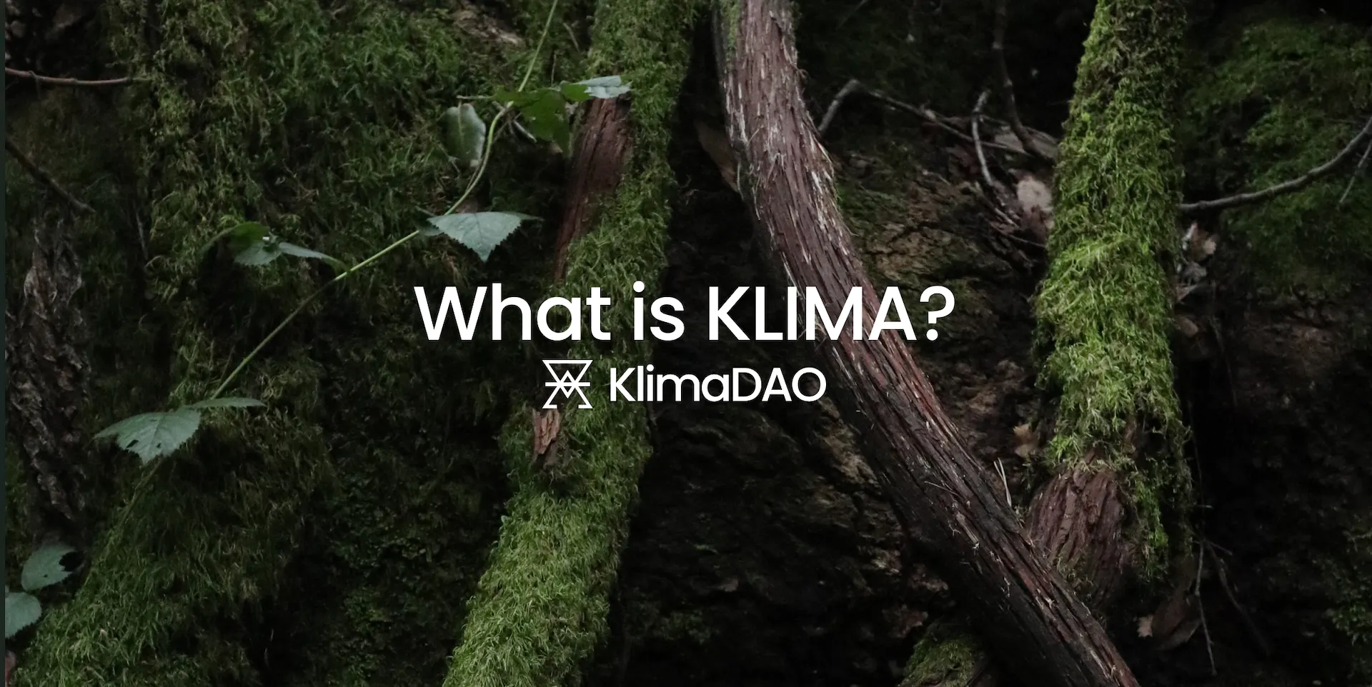 An image asking the viewer "What is KLIMA"?