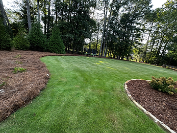 Large backyard zoysia sod and pine straw installation leveled like a soccer field