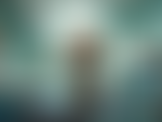 Social Media Assistance for Animal Professionals