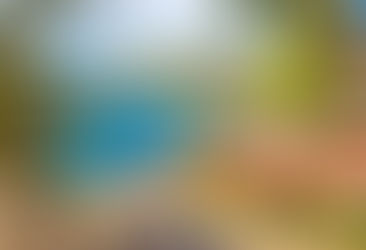 Frühbucher fliegen besser