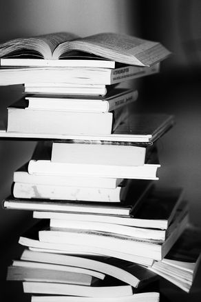 50 Books & No Signs of Stopping: My Journey So Far