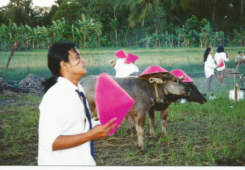untitled image