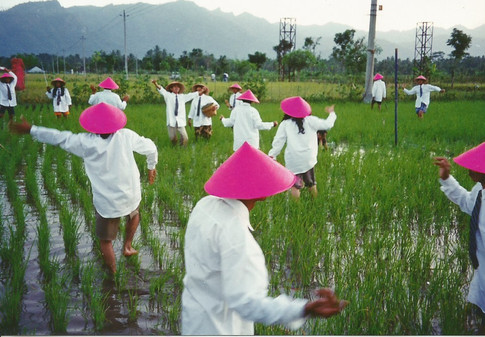 untitled image