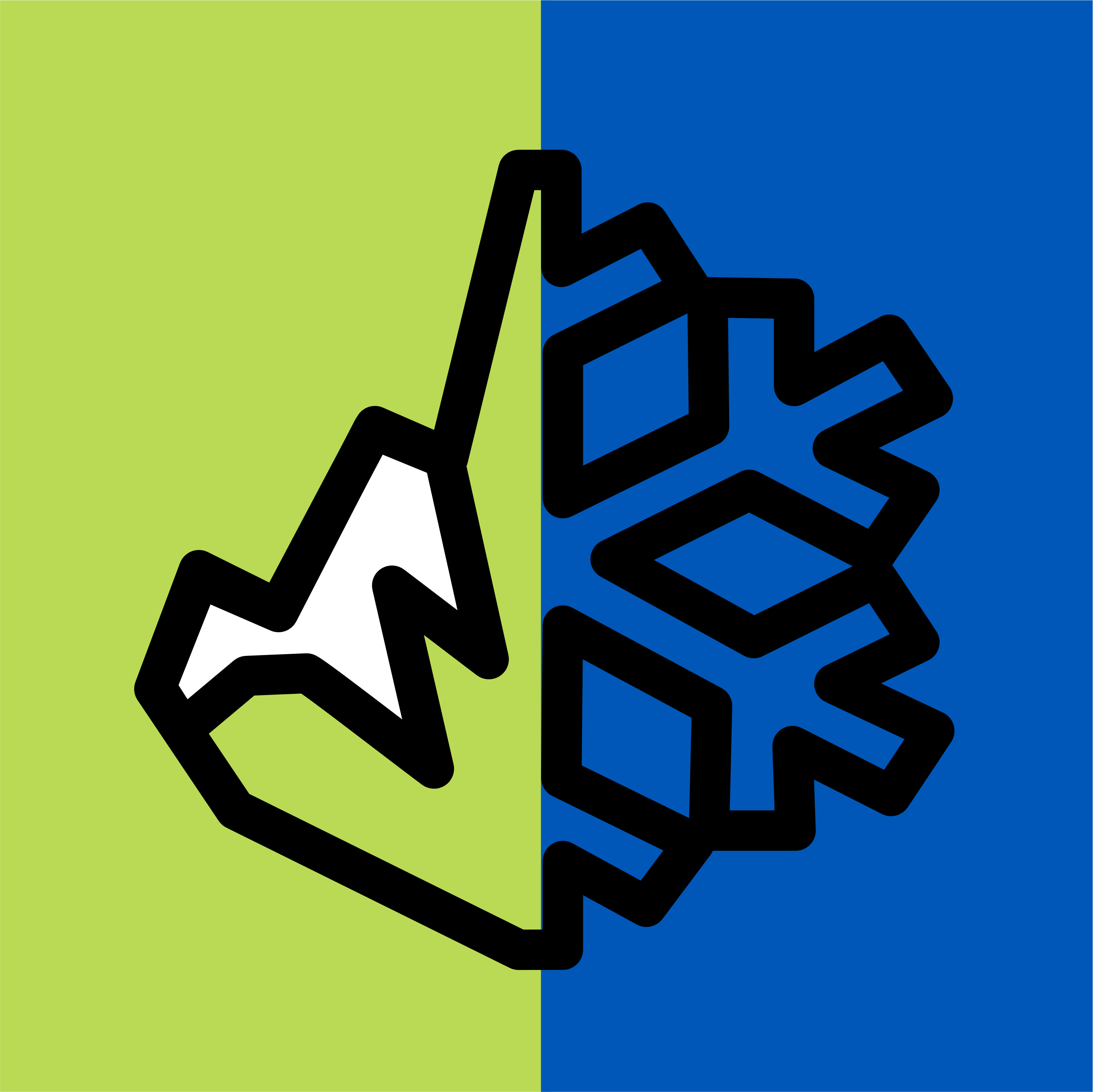 OFFIZIELLES LOGO_NEU.png