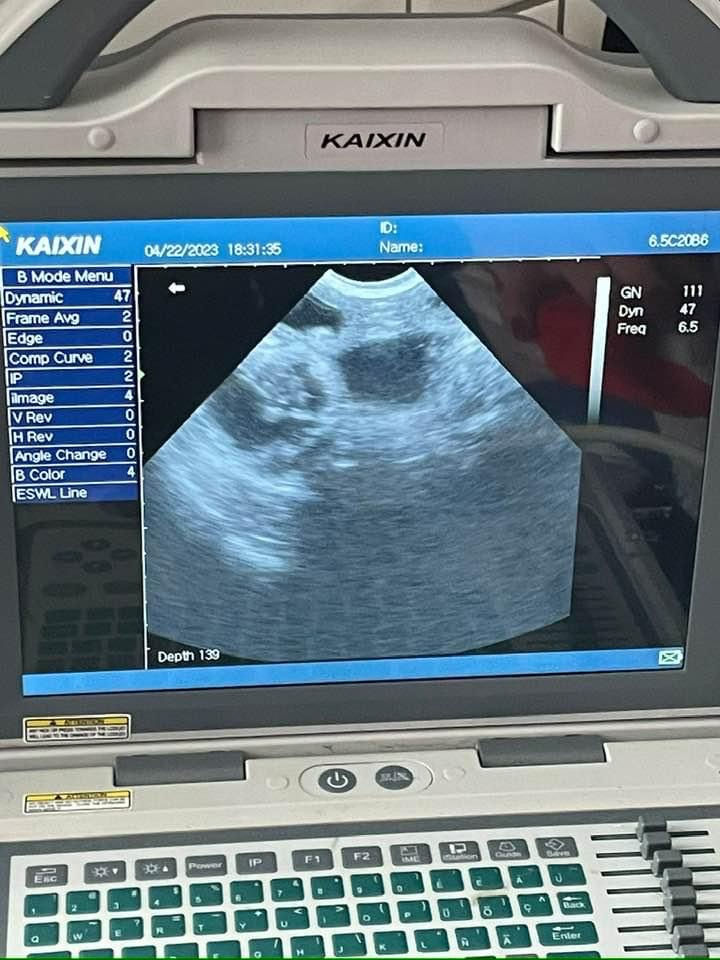 Canine Scan