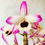 Miniatura: Dendrobium Nobile