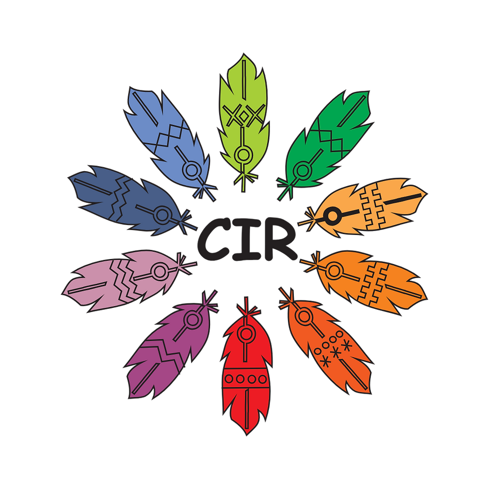 Conselho Indígena de Roraima