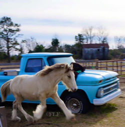 Prize just under a year old