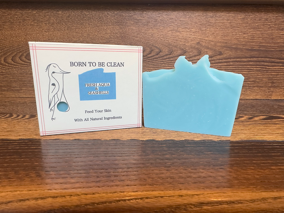 Fresh Aqua and Seashells