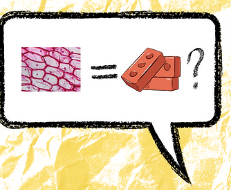 WATS-metaphor_edited.png