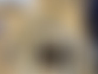 2026 - Bienenhotel - 23.03.2026