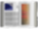 C_o_C Content Pages 4.png