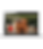 Laptop Realistic_2x.png