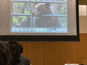 11月12日 ヒグマ講演会~知って防ぐ、ヒグマの被害~