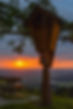 DSC_8990-min.jpg