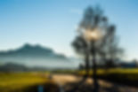 DSC_3555-min.jpg