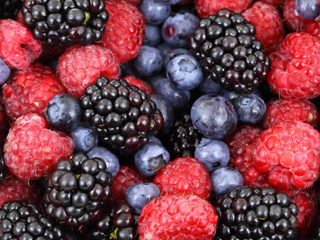 What exactly are Antioxidants?