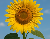 ChatGPT Image Oct 30, 2025, 10_10_57 PM.png