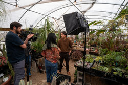 Growth-BTS1-65