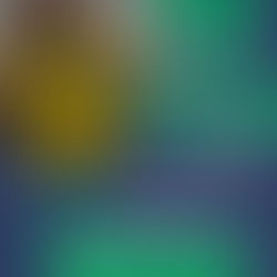 Uma Camisa Autografada pelo Romário Pode Ser Sua!