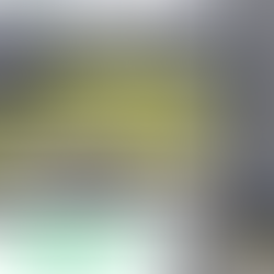 ANNABRA em Brasília: uma semana histórica para o nanismo no Brasil