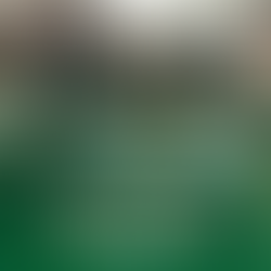 Crianças falam sério: bullying e capacitismo não têm vez!