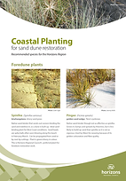 Coastal Planting Flyer.png