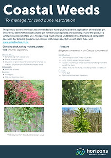 HRC Coastal Weeds Flyer_Cover.png