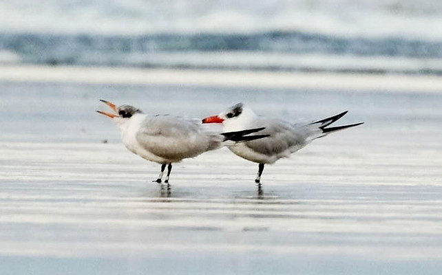 wbeg_2023-03-04_1_edited.jpg
