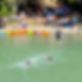 IMG_5882_cropped.jpg