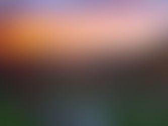 Sunsets return to the Old Sheep Farm