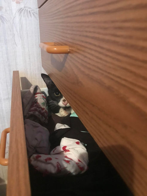 Triska_6_112022.jpeg