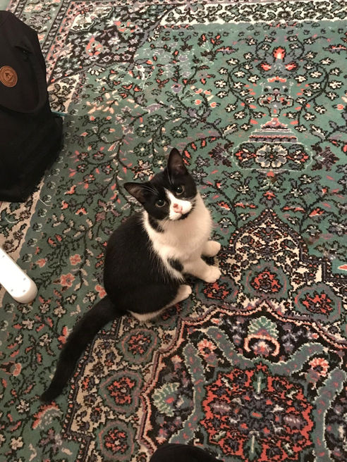 Triska_2_112022.jpeg