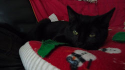 86182959_3113866988644760_31704108678124