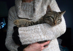 23800007_1832303953467743_7954409194745759585_o