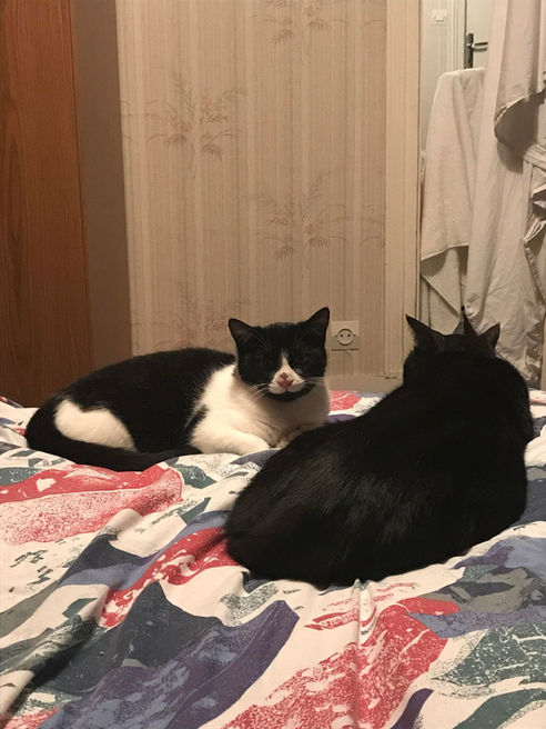 Triska_3_112022.jpeg