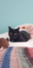 Pitchou