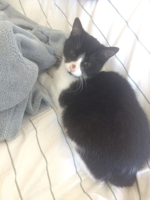 Triska_1_112022.jpeg
