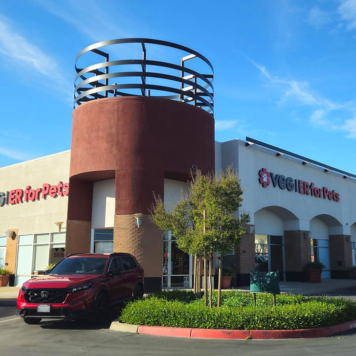24 Hour Emergency Vet in Elk Grove, CA | OPEN 24/7 24 Hour Emergency Vet in Elk Grove, CA | OPEN 24/7