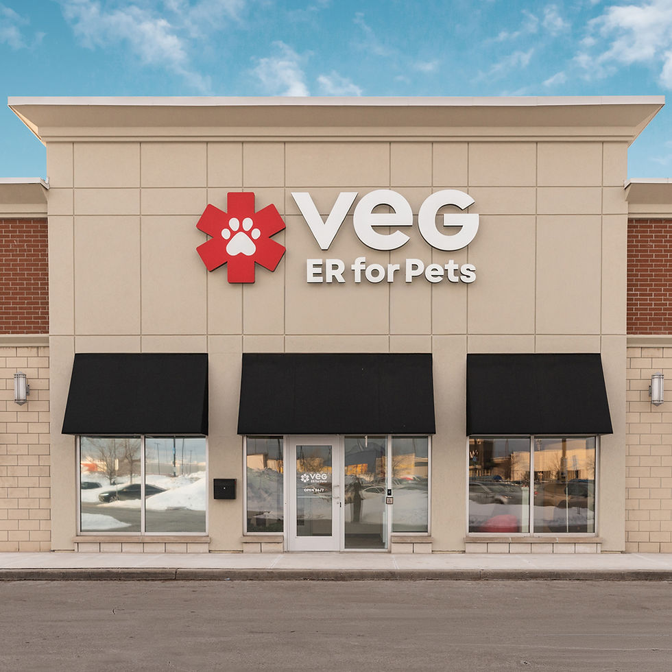 VEG Etobicoke
