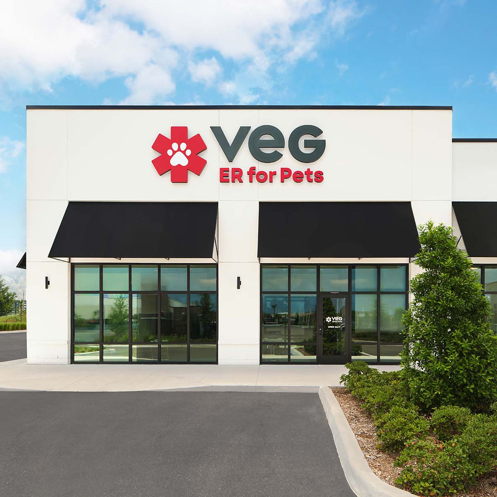 VEG ER for Pets Hospital in Viera, Florida Location Exterior