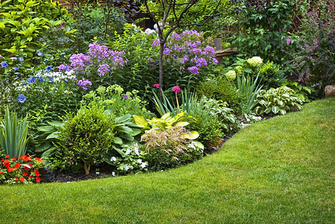 garden-1641057656285-4618.jpg