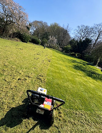 scarification new_edited.jpg